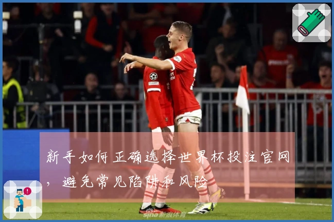 新手如何正确选择世界杯投注官网，避免常见陷阱和风险