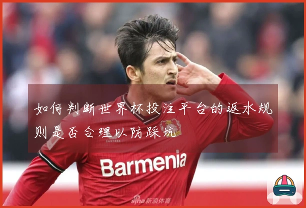 如何判断世界杯投注平台的返水规则是否合理以防踩坑