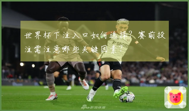 世界杯下注入口如何选择？赛前投注需注意哪些关键因素？