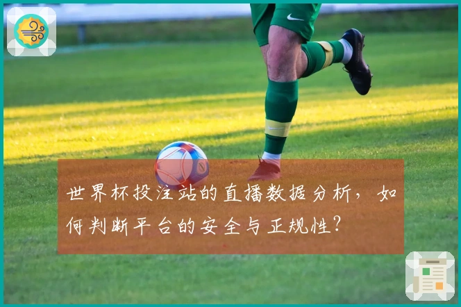 世界杯投注站的直播数据分析，如何判断平台的安全与正规性？