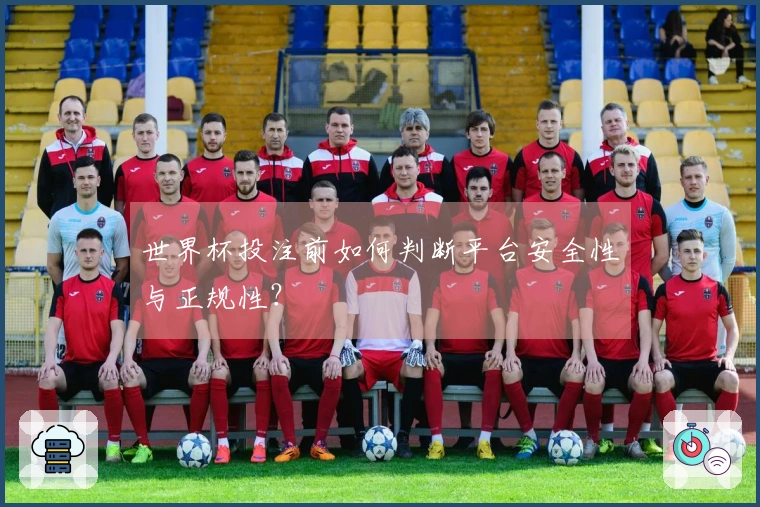 世界杯投注前如何判断平台安全性与正规性？
