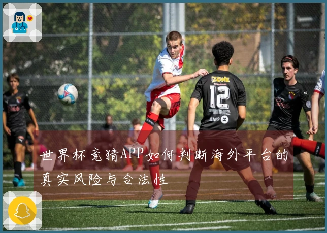 世界杯竞猜APP如何判断海外平台的真实风险与合法性