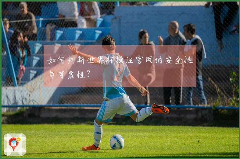 如何判断世界杯投注官网的安全性与可靠性？