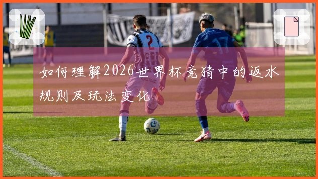 如何理解2026世界杯竞猜中的返水规则及玩法变化
