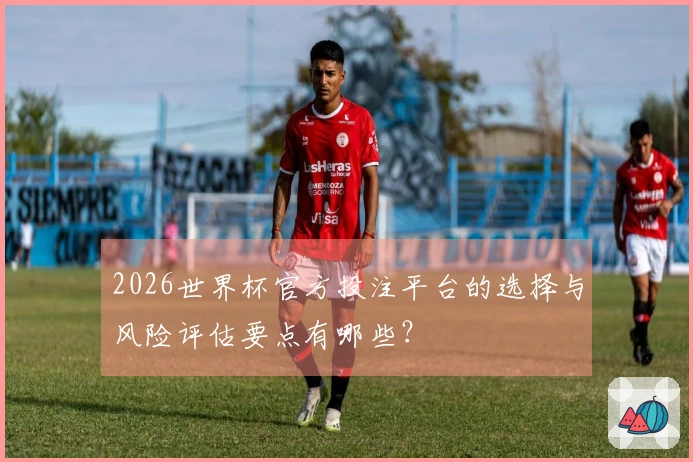 2026世界杯官方投注平台的选择与风险评估要点有哪些？