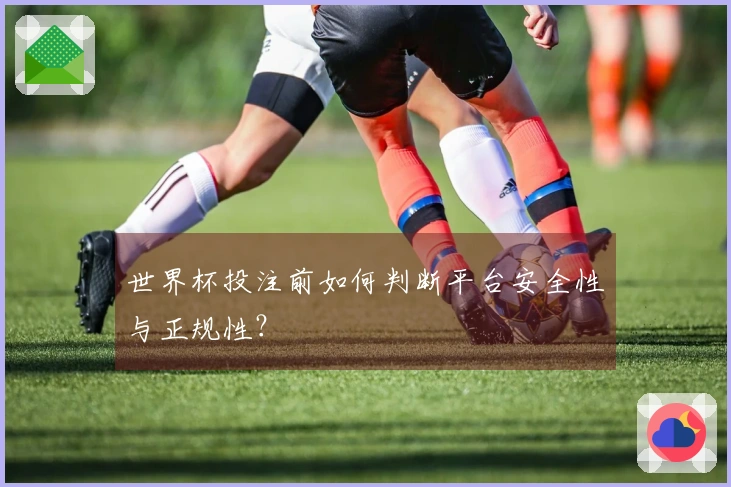 世界杯投注前如何判断平台安全性与正规性？