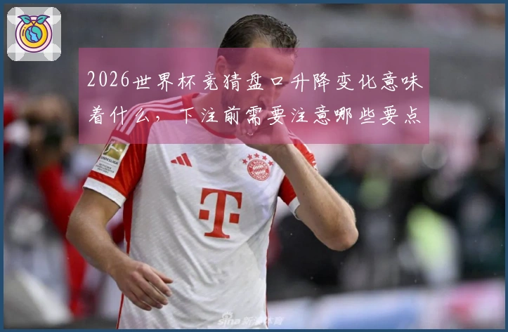 2026世界杯竞猜盘口升降变化意味着什么，下注前需要注意哪些要点？