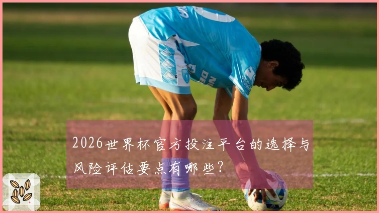 2026世界杯官方投注平台的选择与风险评估要点有哪些？