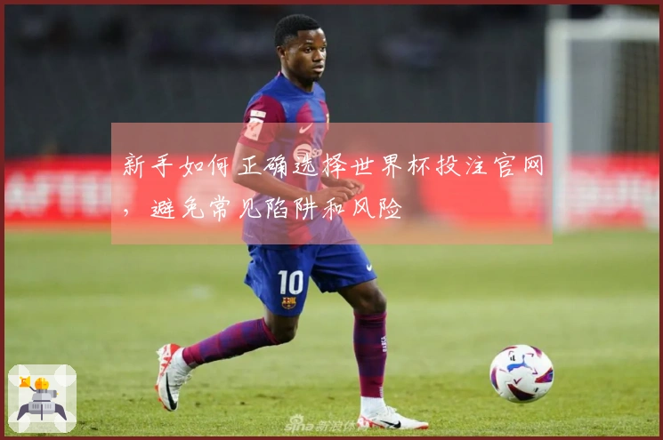 新手如何正确选择世界杯投注官网，避免常见陷阱和风险
