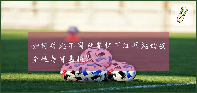 如何对比不同世界杯下注网站的安全性与可靠性？