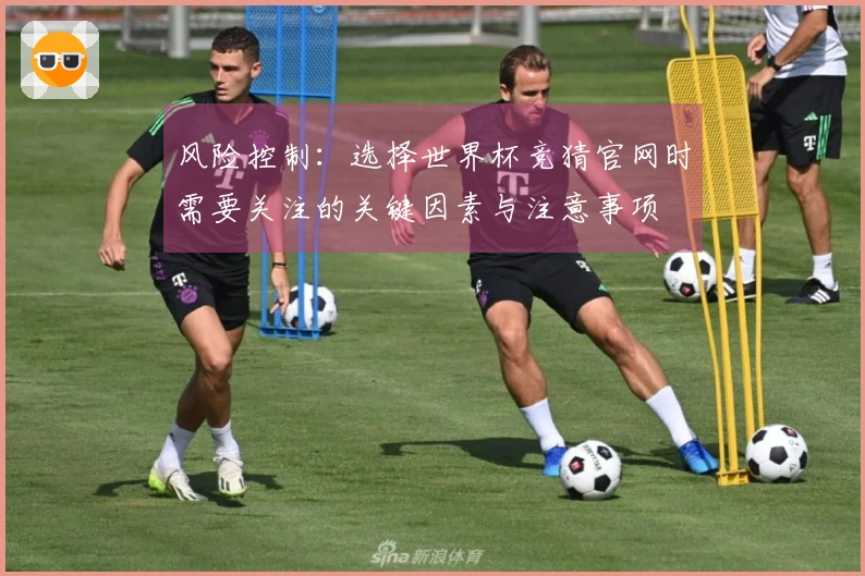 风险控制：选择世界杯竞猜官网时需要关注的关键因素与注意事项