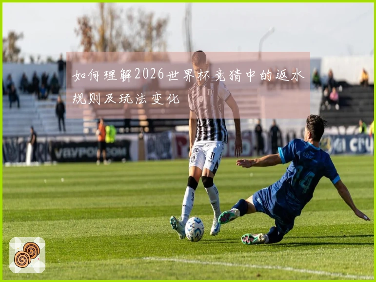 如何理解2026世界杯竞猜中的返水规则及玩法变化