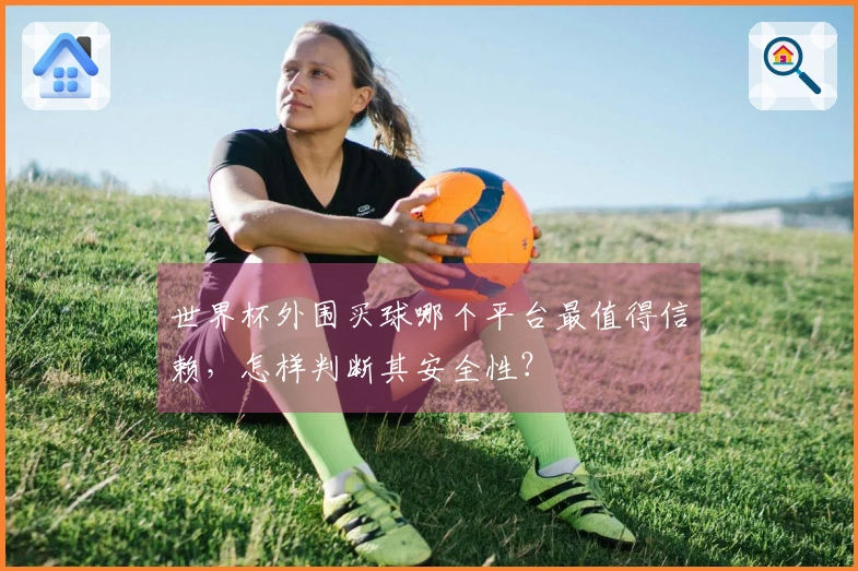 世界杯外围买球哪个平台最值得信赖，怎样判断其安全性？