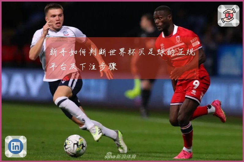 新手如何判断世界杯买足球的正规平台及下注步骤
