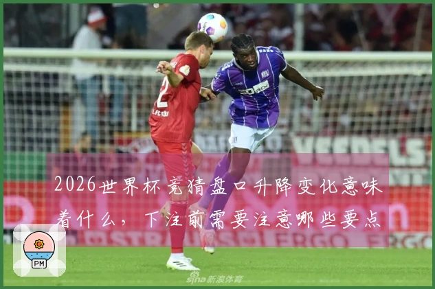2026世界杯竞猜盘口升降变化意味着什么，下注前需要注意哪些要点？