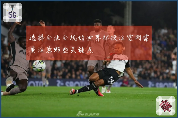 选择合法合规的世界杯投注官网需要注意哪些关键点