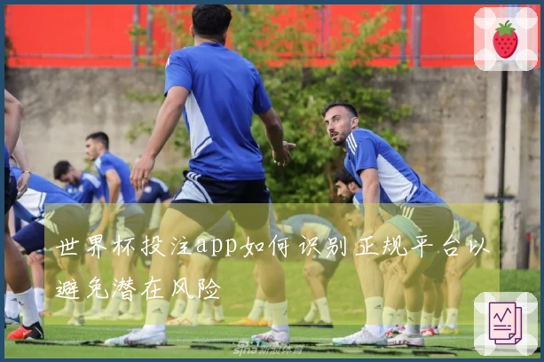 世界杯投注app如何识别正规平台以避免潜在风险