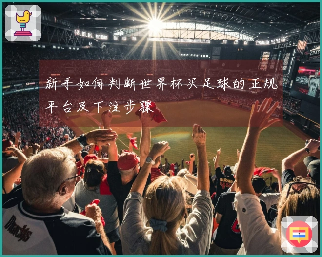 新手如何判断世界杯买足球的正规平台及下注步骤