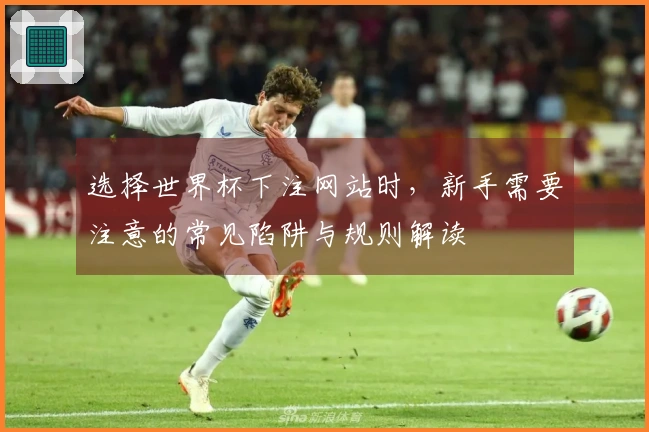 选择世界杯下注网站时，新手需要注意的常见陷阱与规则解读