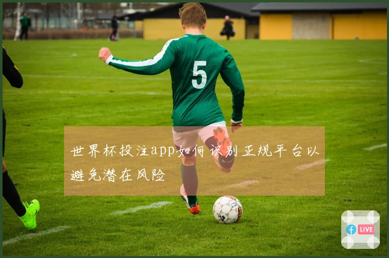 世界杯投注app如何识别正规平台以避免潜在风险