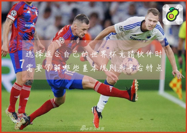选择适合自己的世界杯竞猜软件时需要了解哪些基本规则和平台特点
