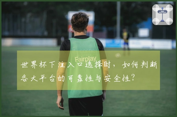 世界杯下注入口选择时，如何判断各大平台的可靠性与安全性？
