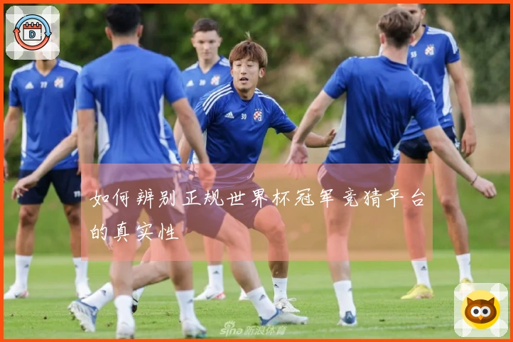 如何辨别正规世界杯冠军竞猜平台的真实性