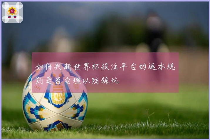 如何判断世界杯投注平台的返水规则是否合理以防踩坑