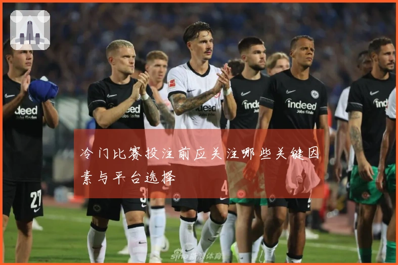 冷门比赛投注前应关注哪些关键因素与平台选择