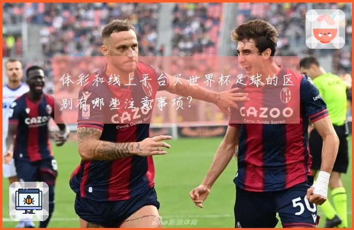 体彩和线上平台买世界杯足球的区别有哪些注意事项？