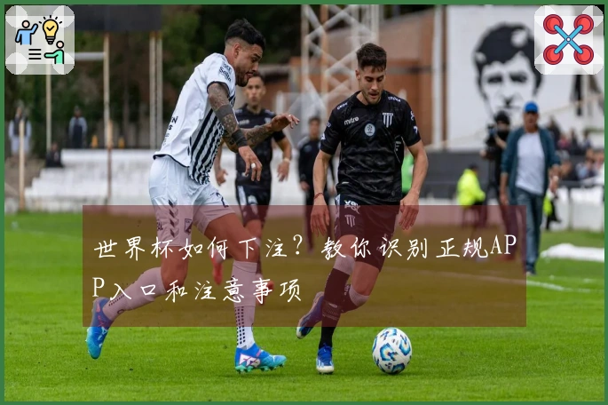 世界杯如何下注？教你识别正规APP入口和注意事项