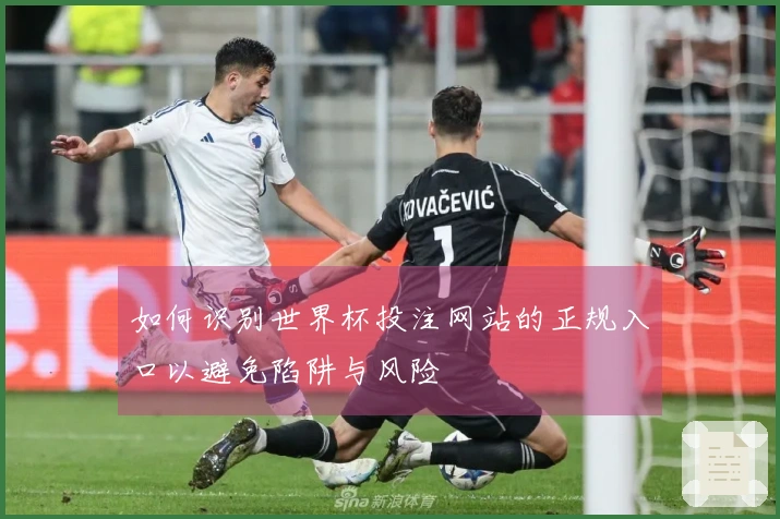 如何识别世界杯投注网站的正规入口以避免陷阱与风险