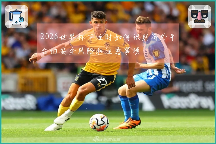 2026世界杯下注时如何识别海外平台的安全风险和注意事项