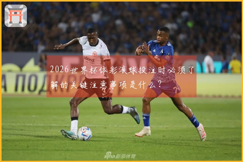2026世界杯体彩滚球投注时必须了解的关键注意事项是什么？