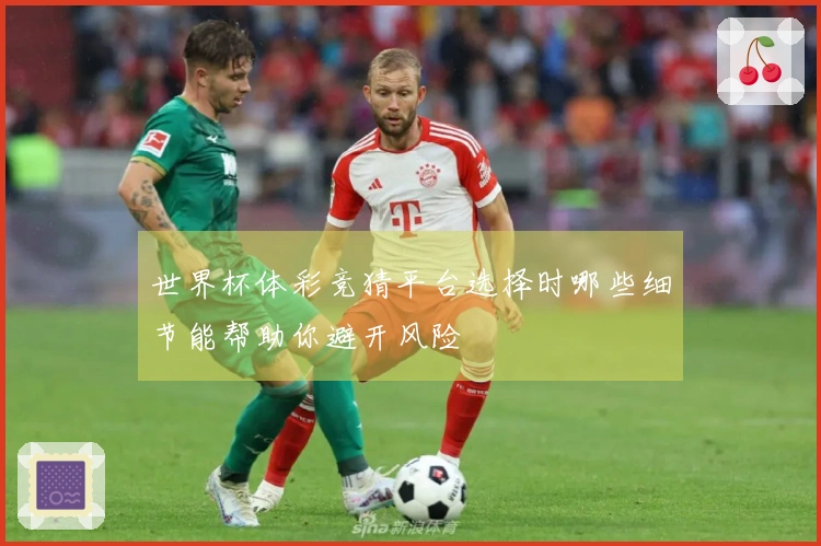世界杯体彩竞猜平台选择时哪些细节能帮助你避开风险