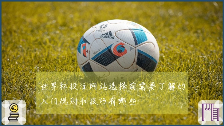 世界杯投注网站选择前需要了解的入门规则和技巧有哪些