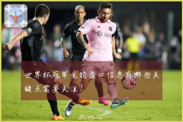 世界杯冠军竞猜盘口信息有哪些关键点需要关注？