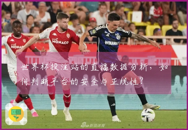 世界杯投注站的直播数据分析，如何判断平台的安全与正规性？