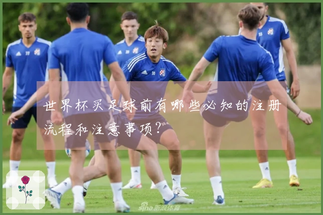 世界杯买足球前有哪些必知的注册流程和注意事项？