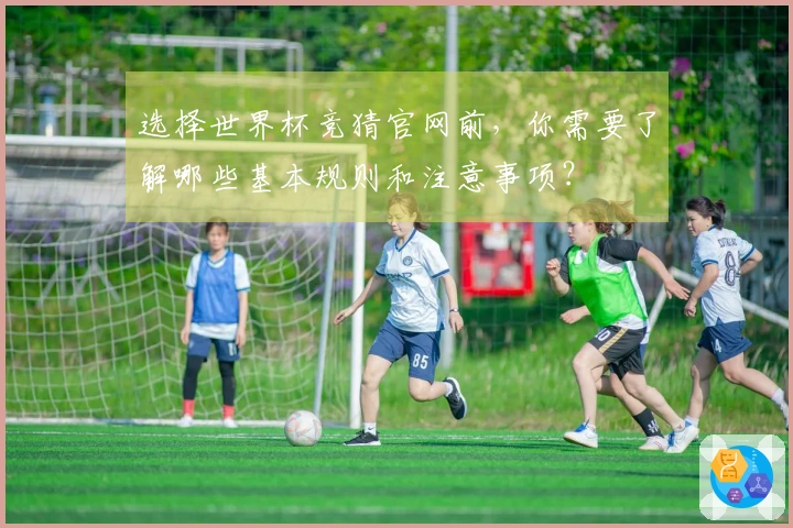 选择世界杯竞猜官网前，你需要了解哪些基本规则和注意事项？