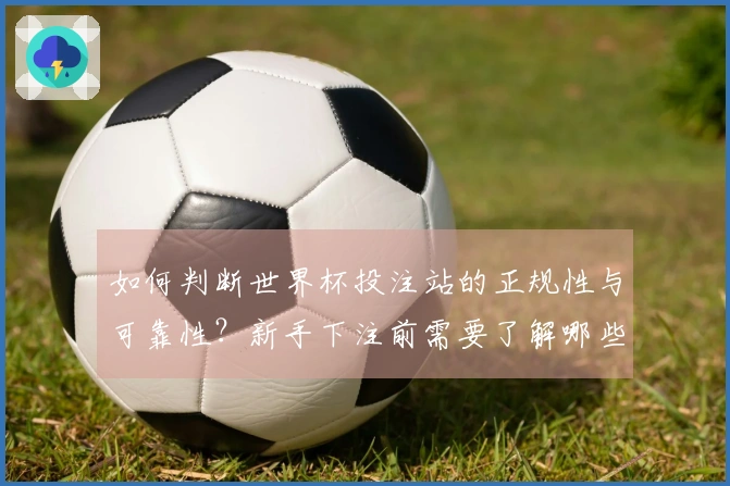 如何判断世界杯投注站的正规性与可靠性？新手下注前需要了解哪些要点？