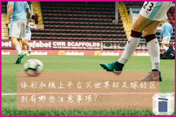 体彩和线上平台买世界杯足球的区别有哪些注意事项？